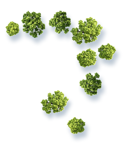 Partner Agencies - Trees