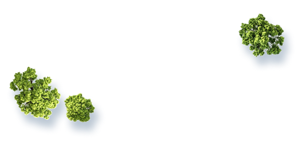 Partner Agencies - Road